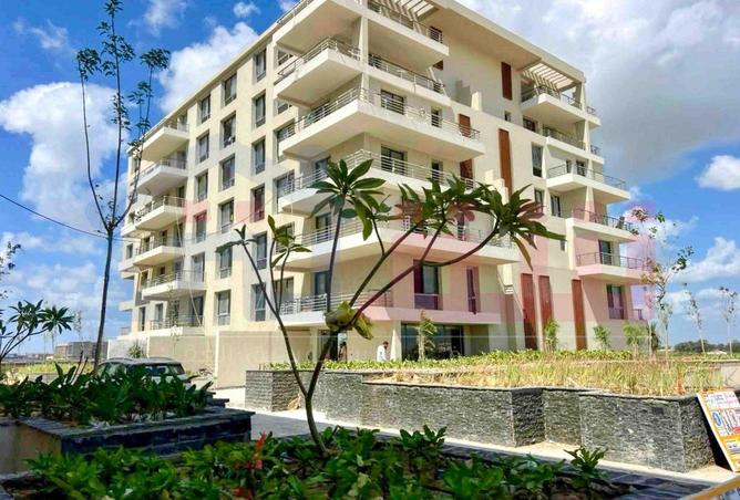 8642064 - صورة العقار 2