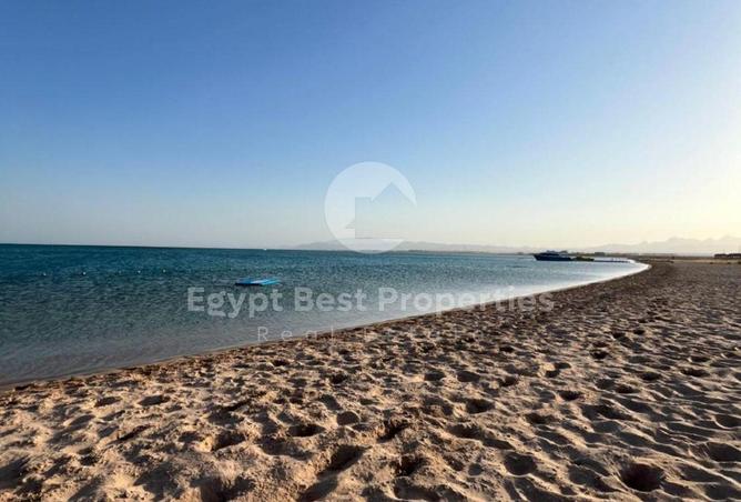 98011078 - Property Image 3