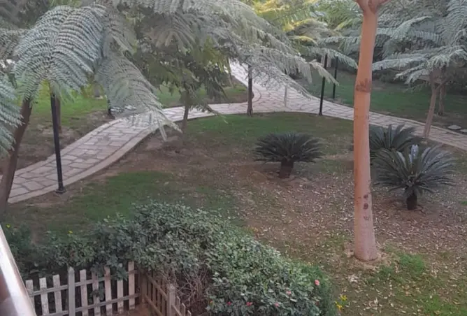 98012918 - صورة العقار 2