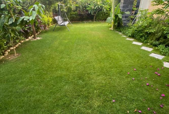 55503796 - الصورة الرئيسية للعقار