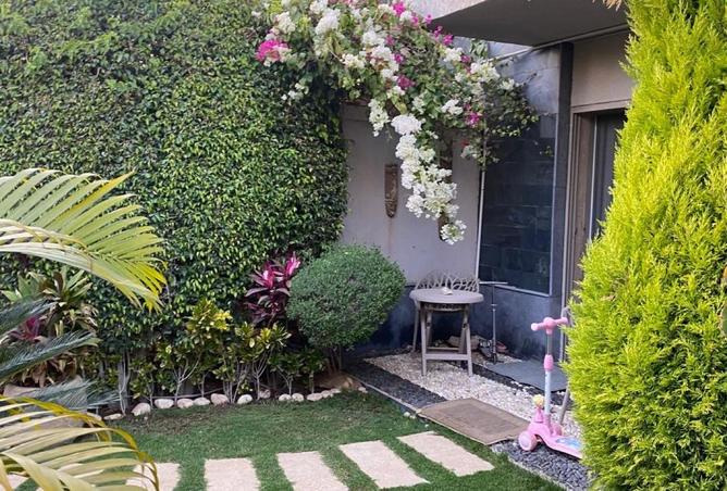 55503796 - صورة العقار 3