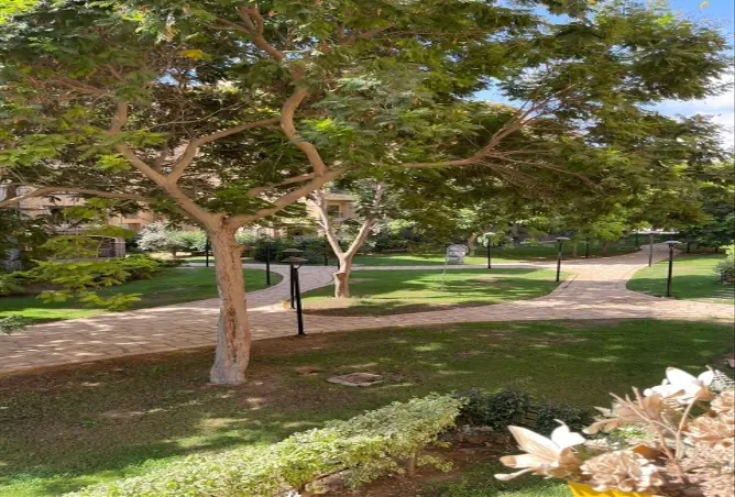 84511170 - Property Image 2