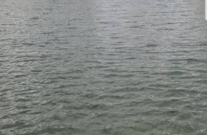 أي فيلا - 3 غرف نوم - 3 حمامات للبيع في ماونتن فيو هايد بارك - كمبوندات التجمع الخامس - التجمع الخامس - مدينة القاهرة الجديدة - القاهرة أي فيلا - 3 غرف نوم - 3 حمامات للبيع في ماونتن فيو هايد بارك - كمبوندات التجمع الخامس - التجمع الخامس - مدينة القاهرة الجديدة - القاهرة