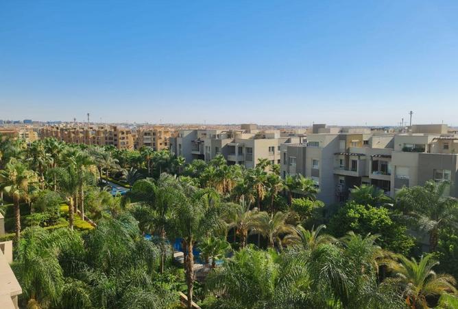 64383563 - Property Image 3