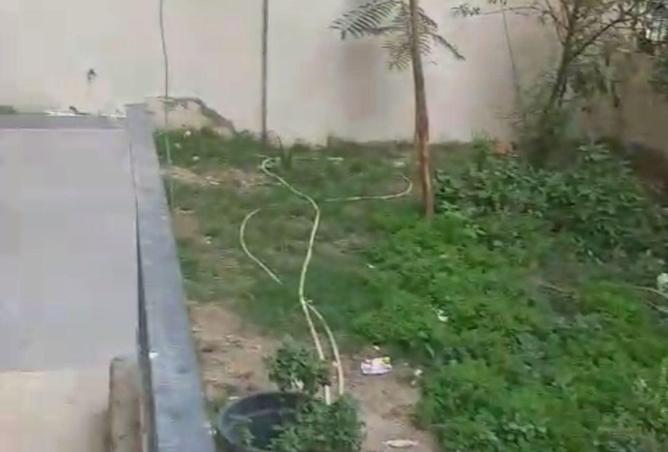 64380799 - صورة العقار 3