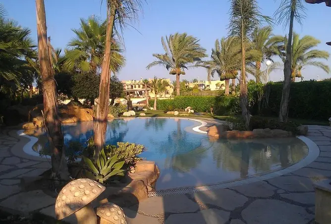 84781047 - صورة العقار 3