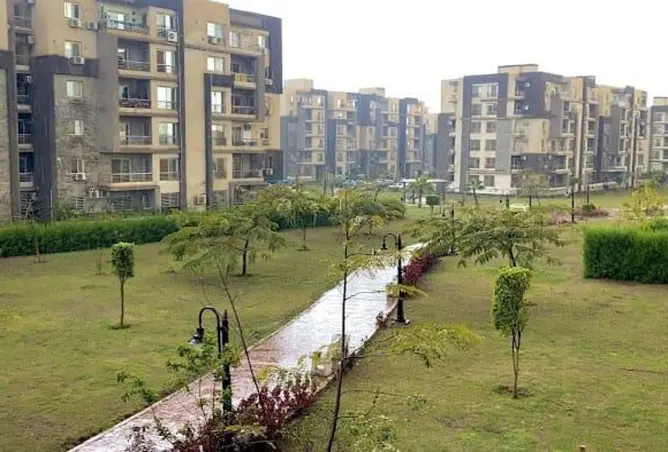 111305385 - Property Image 2