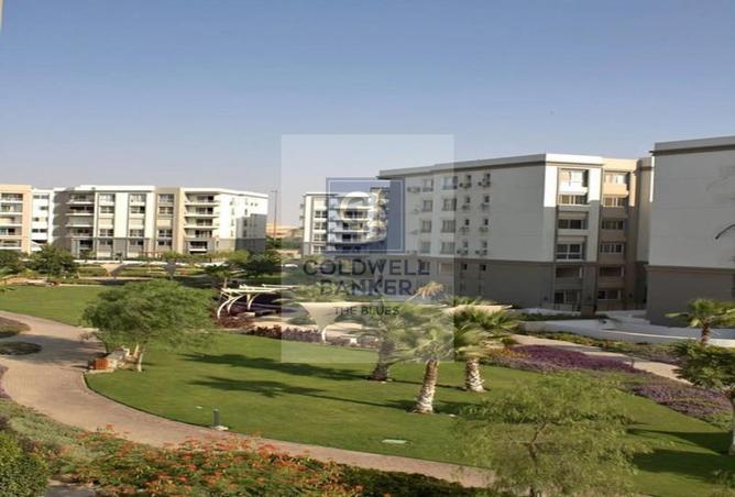 66955863 - صورة العقار 3