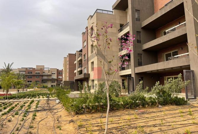 102079387 - صورة العقار 2