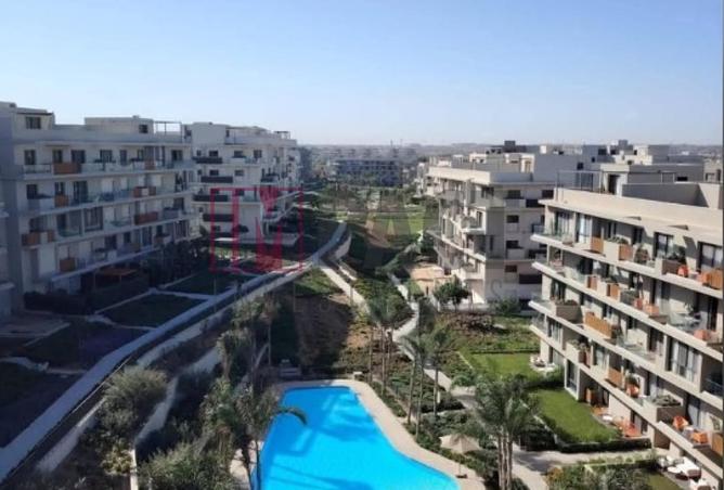 72447475 - Property Image 2