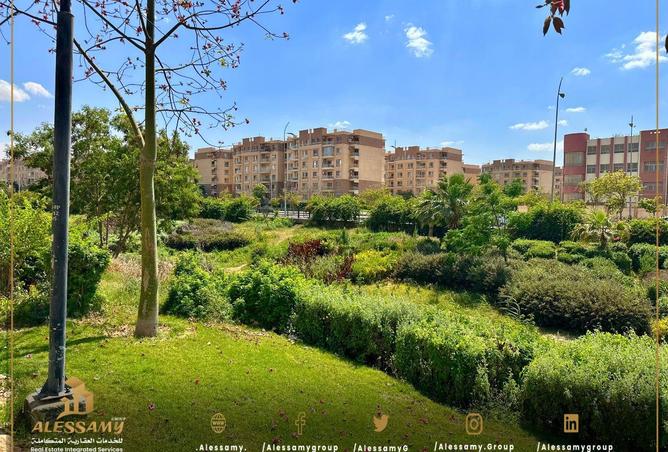 78405004 - Property Image 2