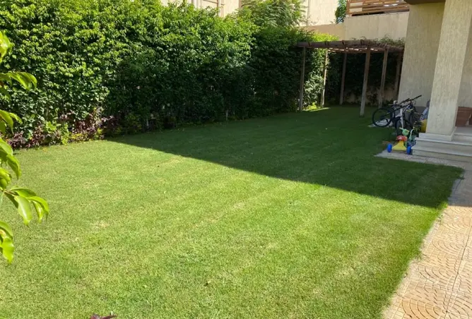 117283548 - Property Image 3