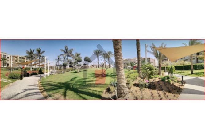 75958584 - صورة العقار 3