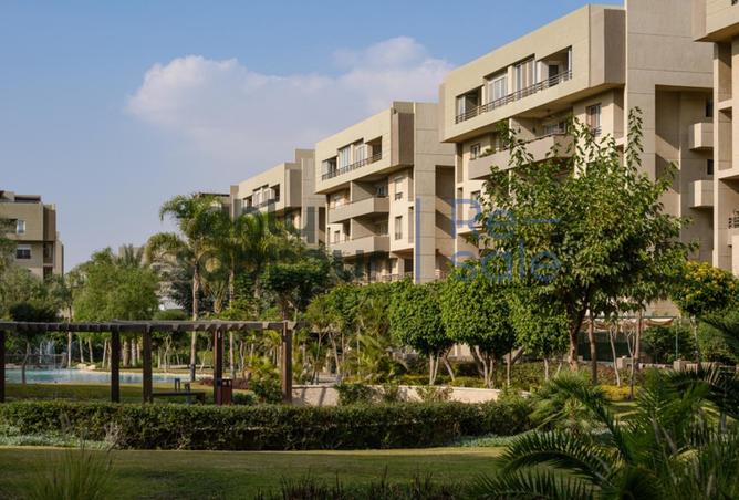 64907732 - Property Image 2