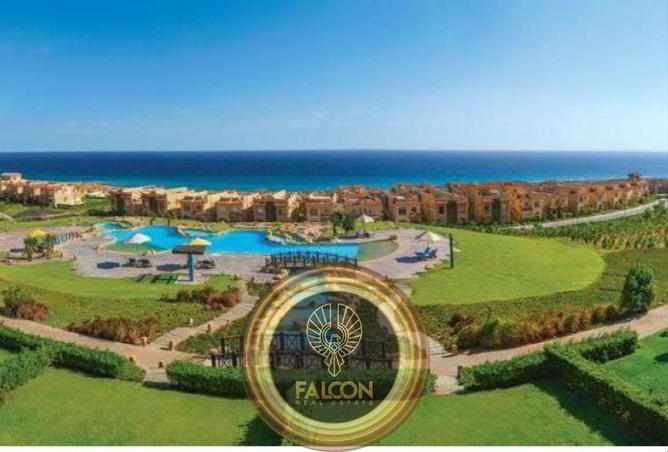 79719878 - صورة العقار 3