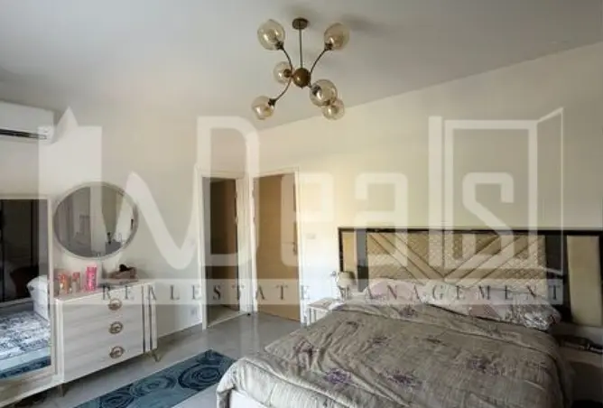 113823544 - Property Image 3