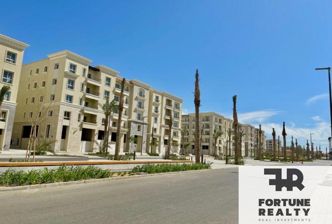 77330814 - Property Image 3