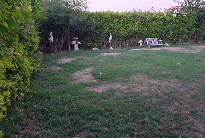 8640087 - صورة العقار 3