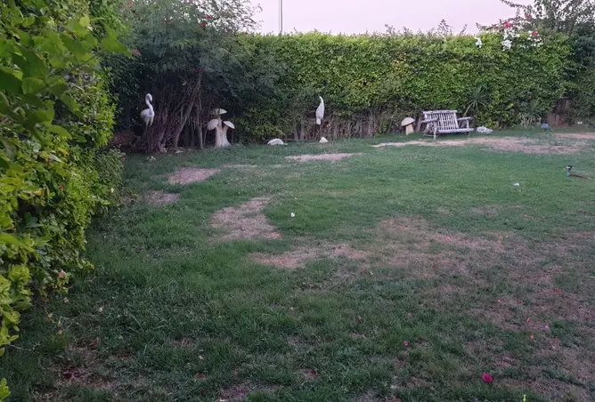 8640087 - Property Image 3