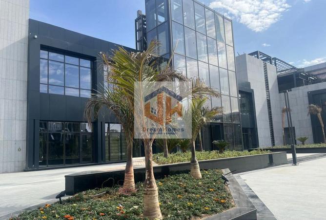 8690325 - صورة العقار 3