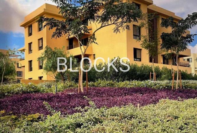 62408272 - Property Image 3