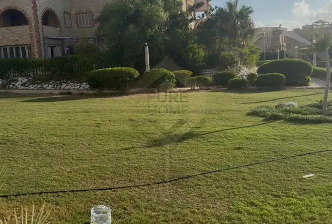 77048929 - صورة العقار 3