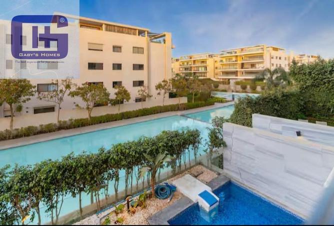 53470870 - Property Image 3