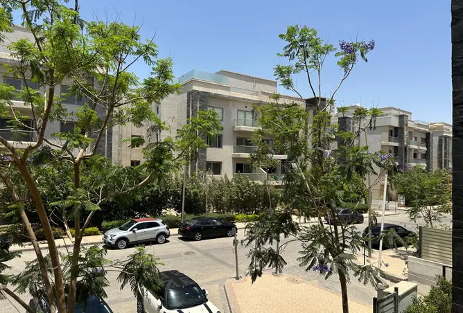 121659291 - Property Image 2