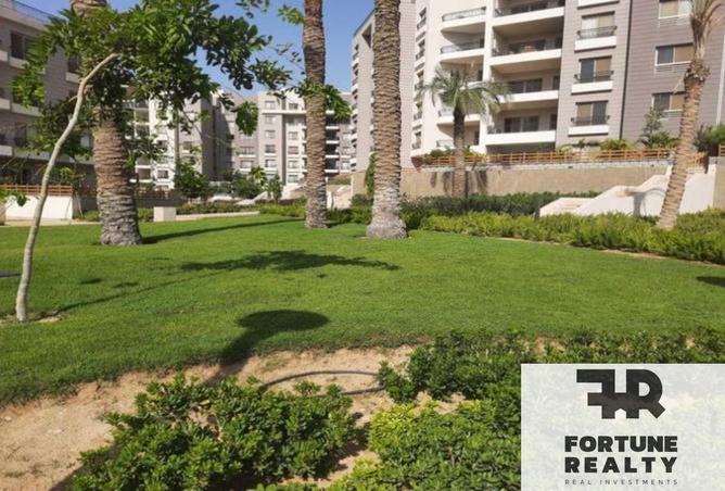 8693919 - صورة العقار 3