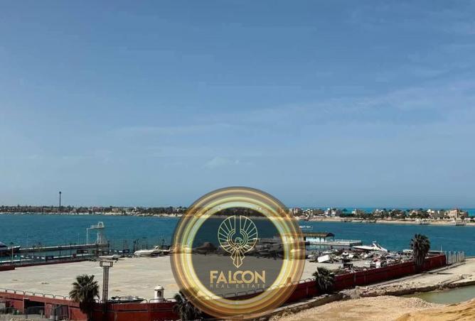 61445708 - Property Image 3