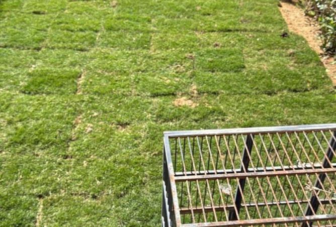 8686090 - صورة العقار 2