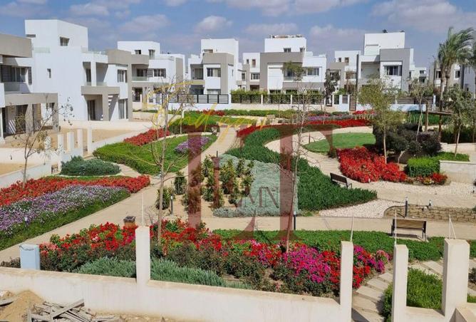 67222679 - صورة العقار 3