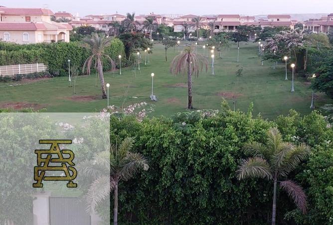 91289499 - صورة العقار 3