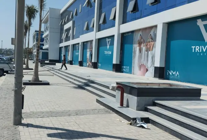 81561047 - صورة العقار 3