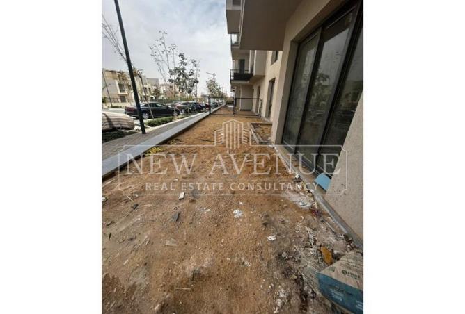 97444055 - Property Image 2