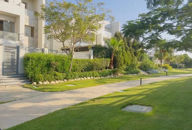 105164781 - صورة العقار 3