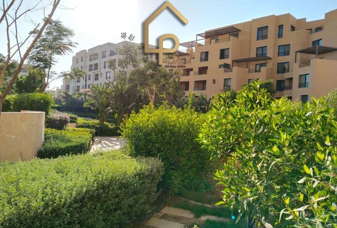 65163284 - صورة العقار 3