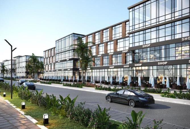 8633839 - Property Image 3