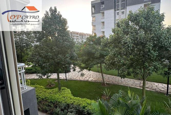 64130614 - Property Image 3