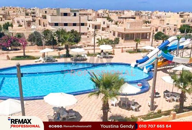 66686641 - صورة العقار 3