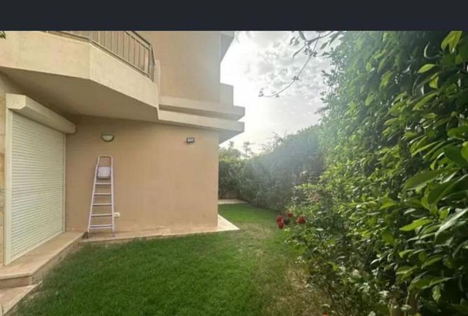 62411843 - Property Image 3