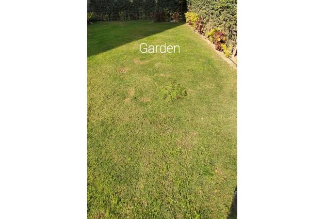 68791428 - Property Main Image