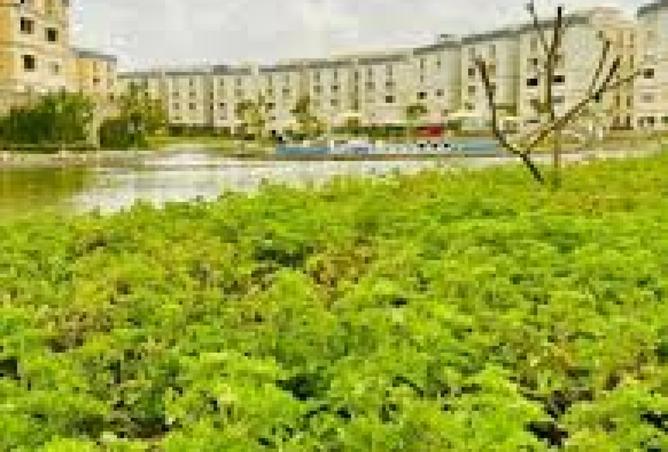 100080349 - Property Image 3