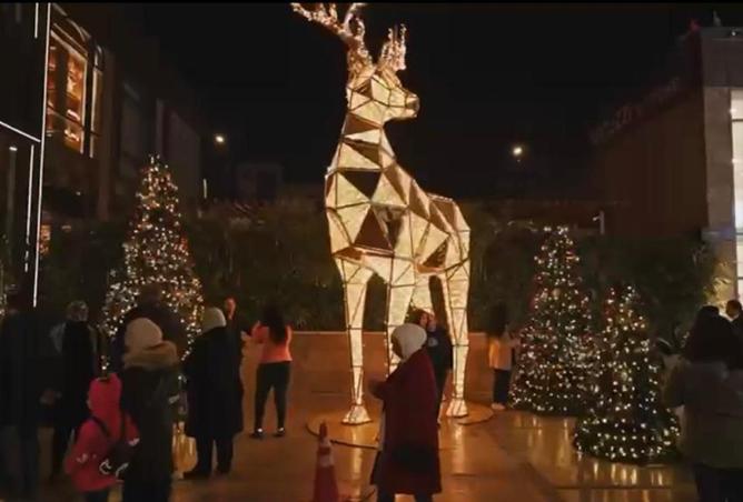 52710007 - صورة العقار 3