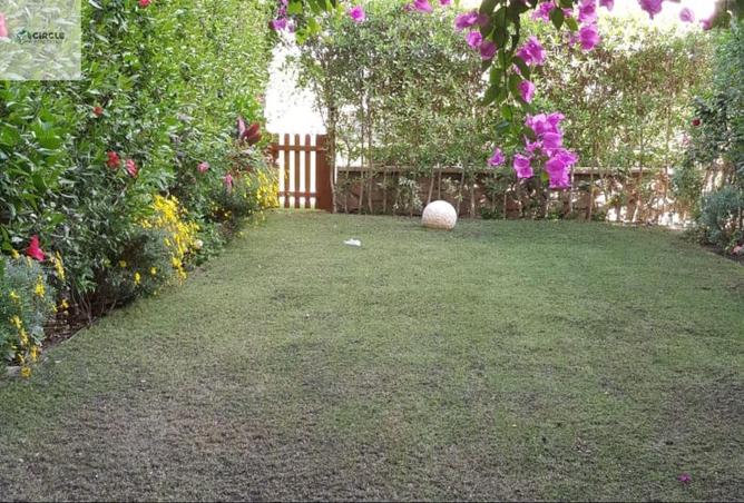 70877778 - Property Image 3