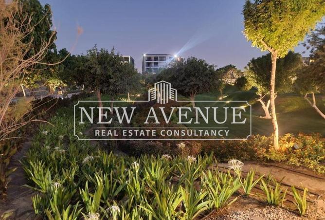 8459446 - Property Image 2