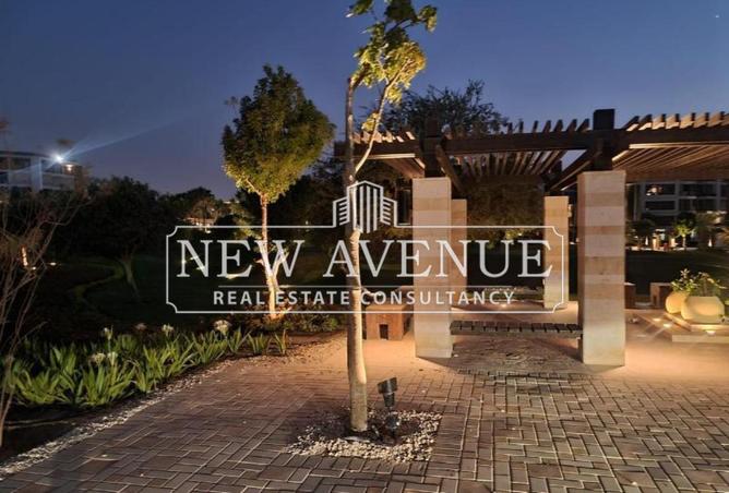 8459446 - Property Image 3