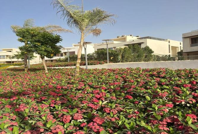 61203465 - صورة العقار 2