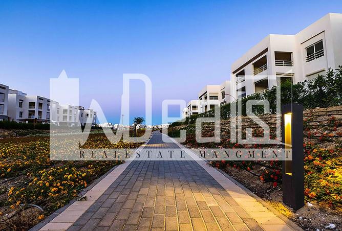 8472404 - صورة العقار 2