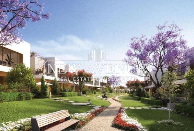 2P05wrOt3z6 - الصورة الرئيسية للعقار